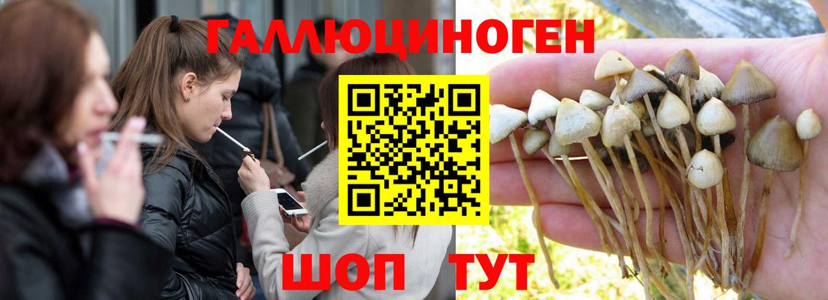 Псилоцибиновые грибы Magic Shrooms  Вход с VPN  Еманжелинск 